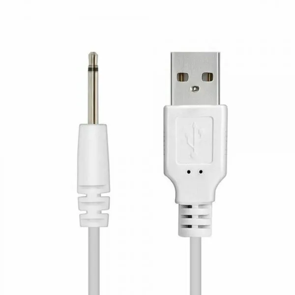 Chargeur USB Aiguille Anna FEELZTOY Reconditionné 