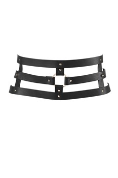 WIDE BELT AND RESTRAINTS 1