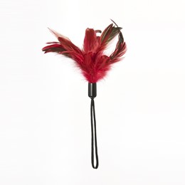 PLEASURE FEATHER - Plumes à Caresses 1