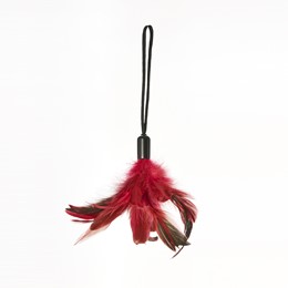 PLEASURE FEATHER - Plumes à Caresses 2
